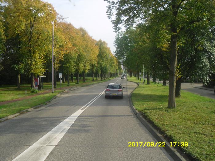 SDC10004 (Copy).JPG